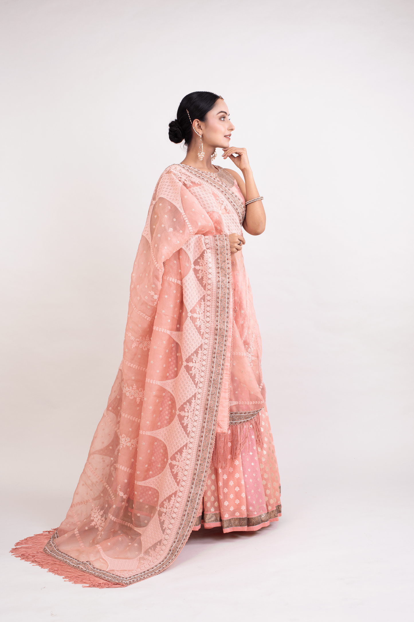 FS 113// Peach multipanel lehenga blouse