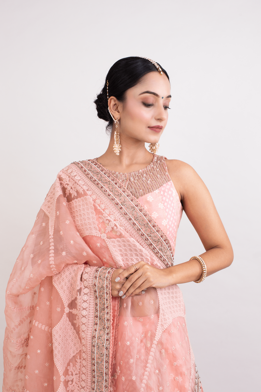 FS 113// Peach multipanel lehenga blouse